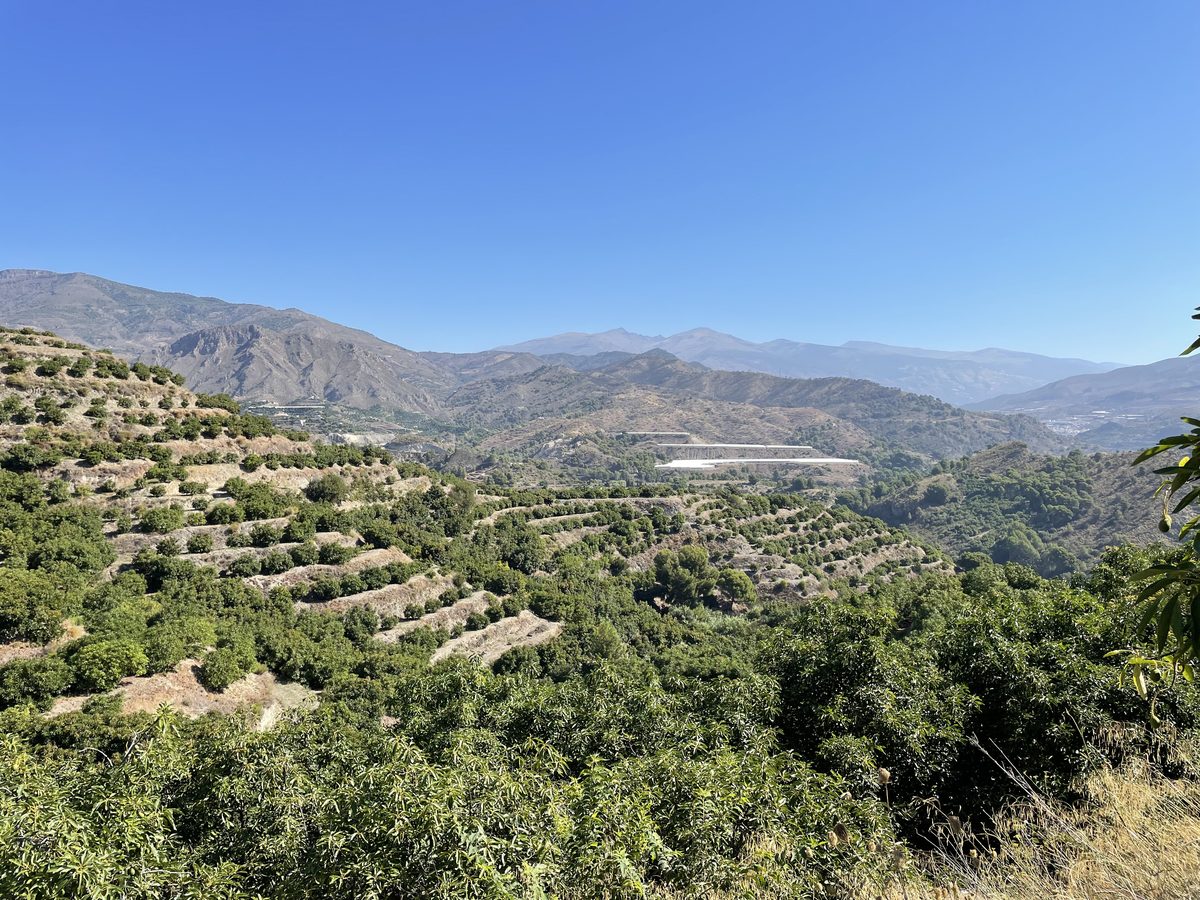 Vista de los bancales de la finca entre montañas