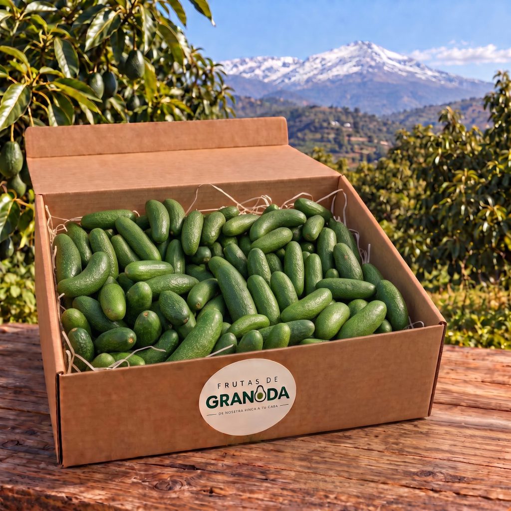 Caja de Aguacate Cocktail de 2 kg