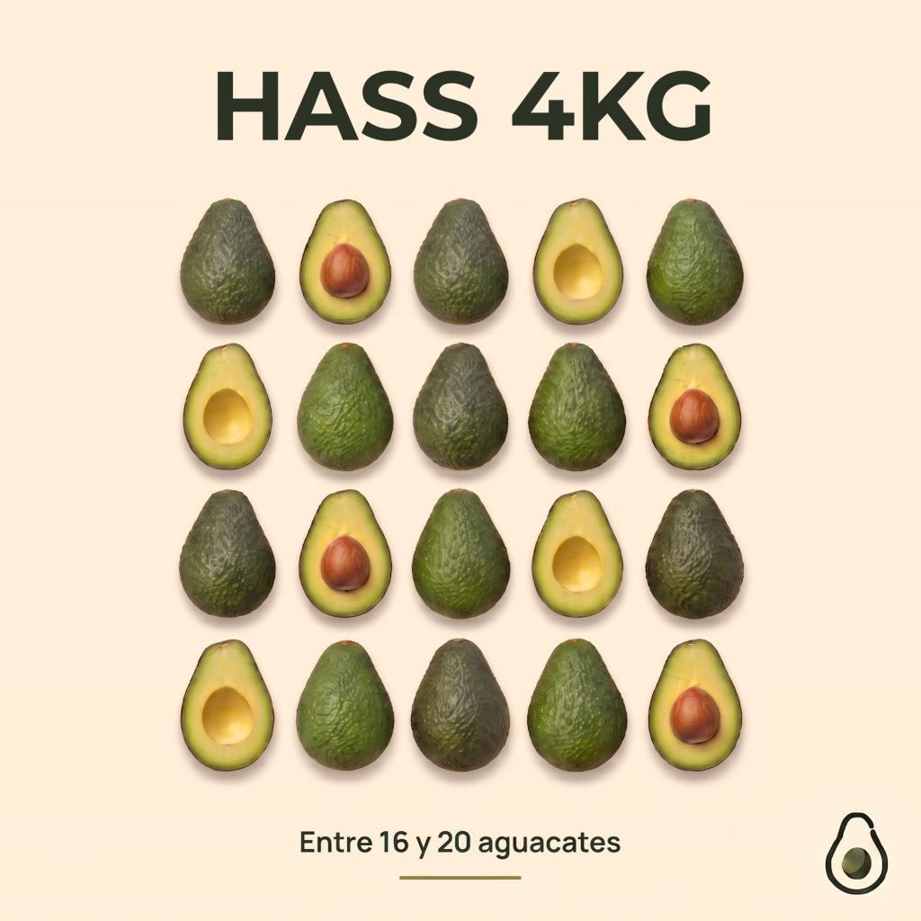 Hass 4 kg — cuántos aguacates entran