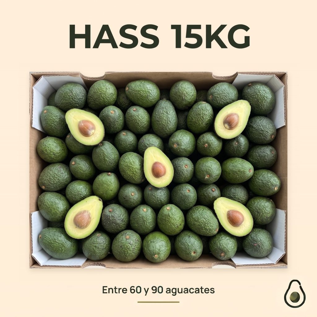 Caja de Aguacate Hass de 15 kg