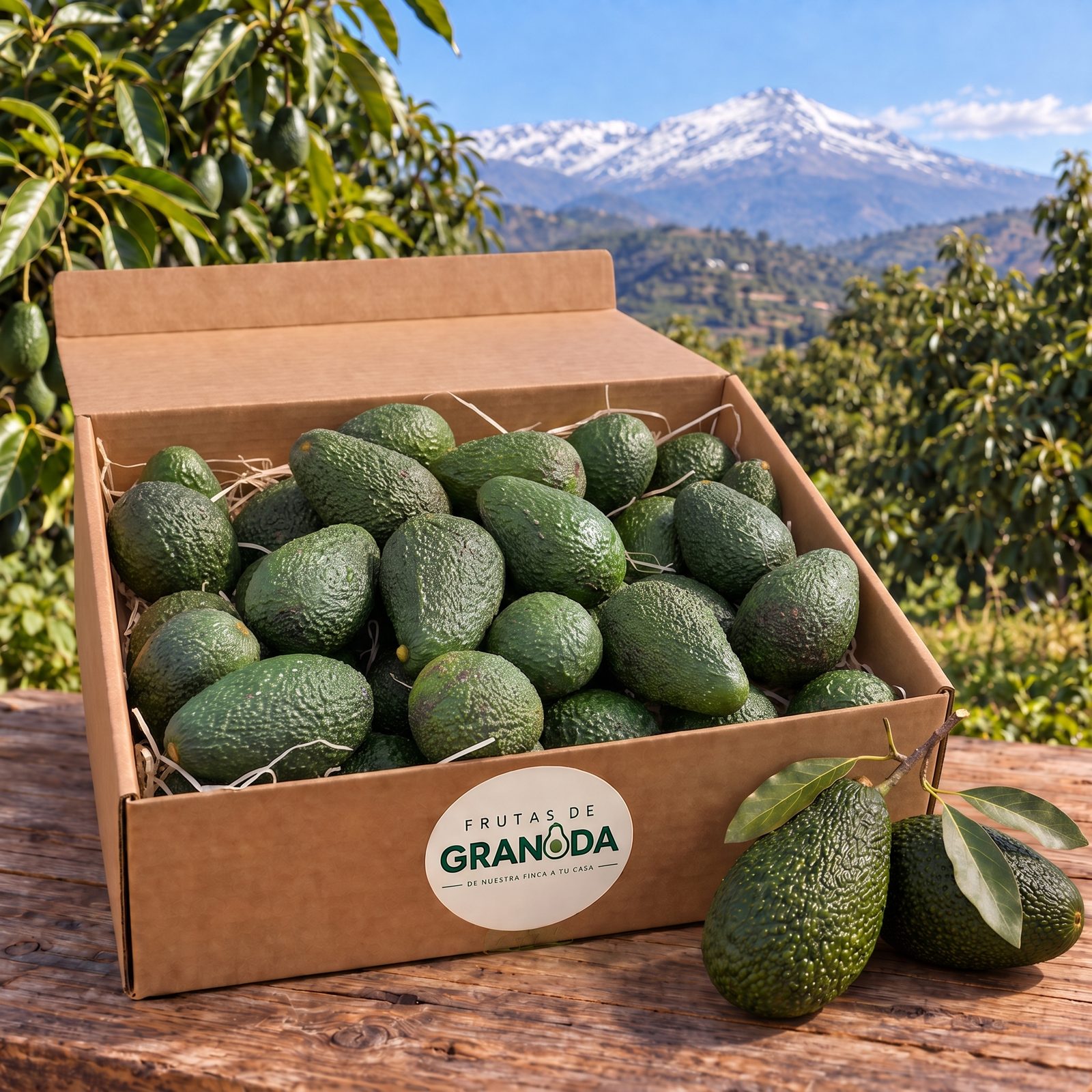 Caja de aguacates con la Sierra Nevada al fondo